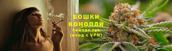 дмт Лиски