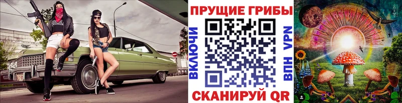 Псилоцибиновые грибы Psilocybine cubensis  Суворов 