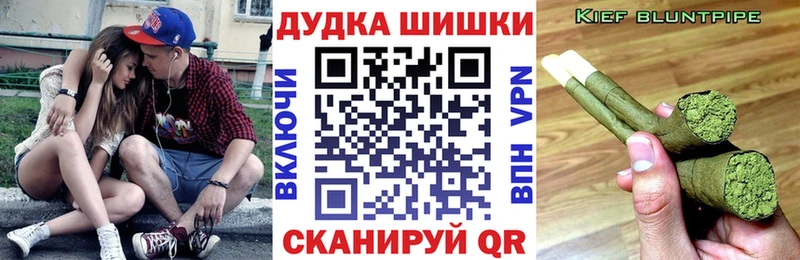 Бошки марихуана Amnesia Суворов